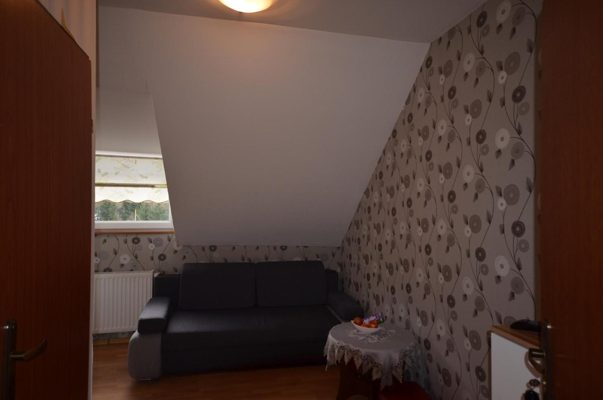 Pod Modrzewiem Mieszkania Wakacyjne Duszniki Zdroj Exterior photo