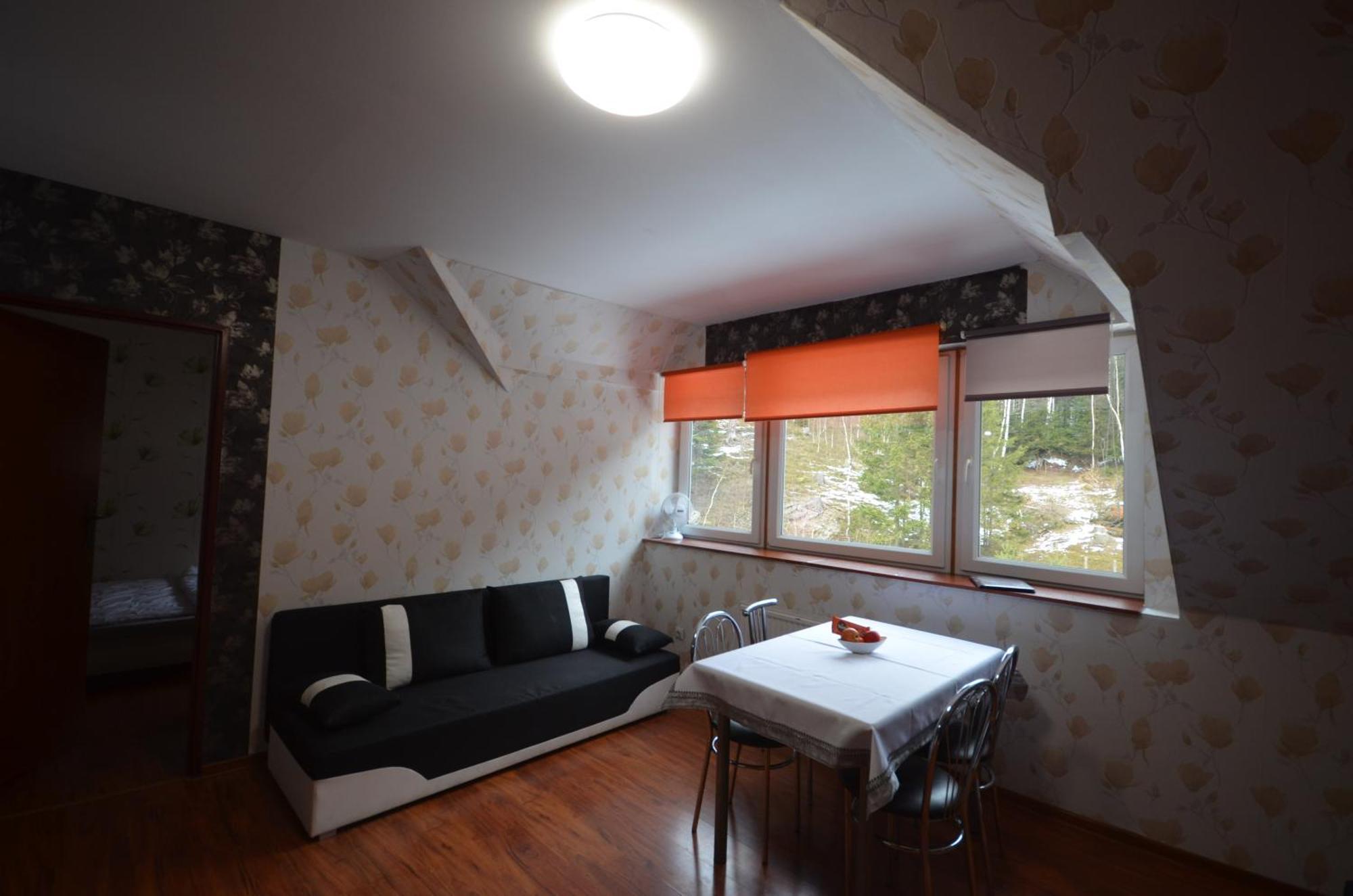 Pod Modrzewiem Mieszkania Wakacyjne Duszniki Zdroj Exterior photo